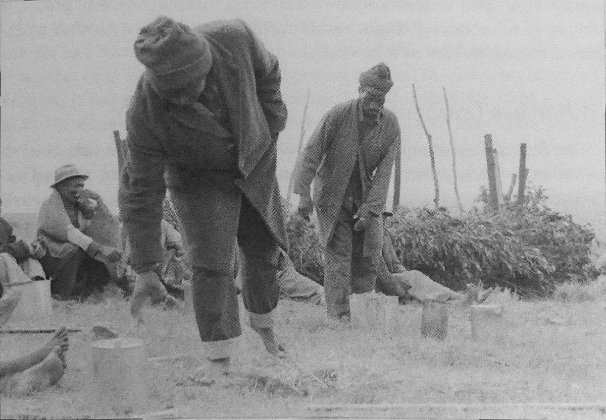 Un groupe de travail Xhosa pour la bière. Distribution de pots de bière aux groupes d'hommes, 1980